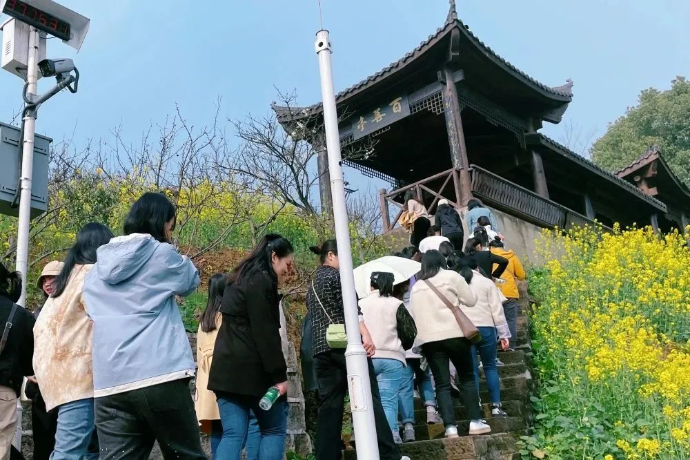 獻禮3.8節(jié)|勇做攀登者，奮進新未來