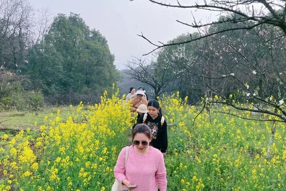 獻禮3.8節(jié)|勇做攀登者，奮進新未來